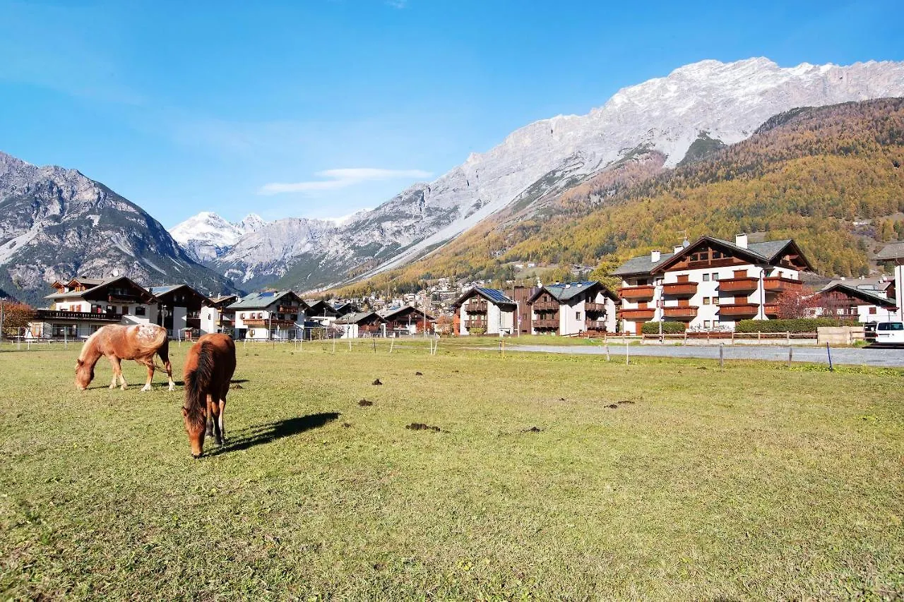 Olympic Chalet 13 Bormio